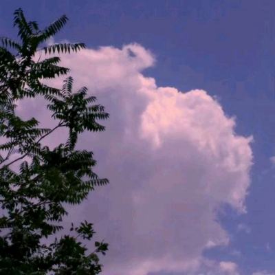 伦敦巴士横冲直撞